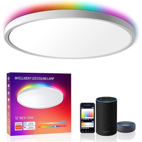 Smart Led Ceiling Light Flush Mount, 12 Inch 24W Ceiling Light Fixture Dimmable - Picture 1 of 5